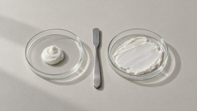 Two glass petri dishes of cream with a steel spatula between them