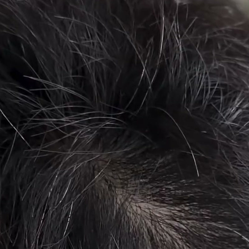 Grey scattered through a man's hair at the temple, before use